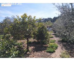 PARCELA AMPLIA EN GILET