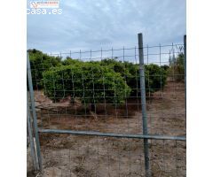 CONJUNTO DE PARCELAS EN PETRÉS