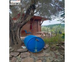 CONJUNTO DE PARCELAS EN PETRÉS