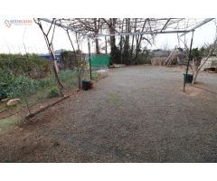 Terreno rústico en Sagunto