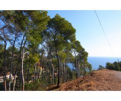 SE VENDE PARCELA CON VISTA AL MAR EN JAVEA EN BALCON AL MAR GV2018533-A