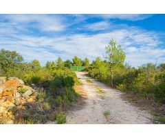 EXTRAORDINARIA PARCELA DE 10776 M2. A LA VENTA EN LLIBER. VALLE DE JALON.