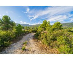 EXTRAORDINARIA PARCELA DE 10776 M2. A LA VENTA EN LLIBER. VALLE DE JALON.