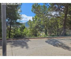 Parcela urbanizable a la venta en Alcalalí: una inversión con gran potencial.