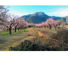 Parcela urbanizable a la venta en Alcalalí: una inversión con gran potencial.