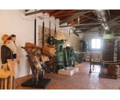 Parcela urbanizable a la venta en Alcalalí: una inversión con gran potencial.