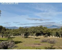 Finca rustica en Venta en Vellón, El, Madrid