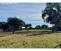 Finca rustica en Venta en Vellón, El, Madrid