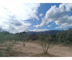 Finca Agricola en Aleixar