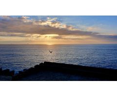 Apartamento primera linea de Mar (la Falconera)