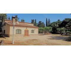 Maravillosa masía en venta en Riudoms