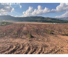 Terrenos urbanizables en venta en Salinas