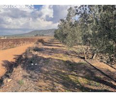 Terrenos urbanizables en venta en Salinas