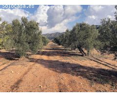 Terrenos urbanizables en venta en Salinas