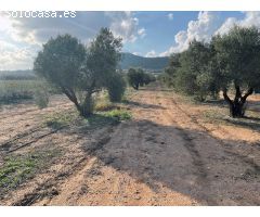 Terrenos urbanizables en venta en Salinas