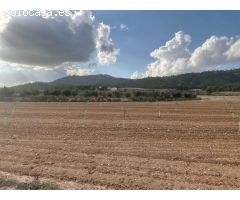 Terrenos urbanizables en venta en Salinas