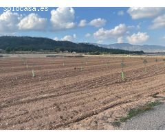 Terrenos urbanizables en venta en Salinas