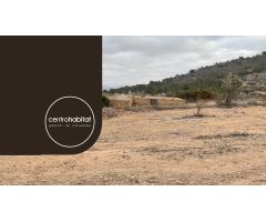 Terreno rustico con casita en el paraje protegido de la Cava en Hondón de las Nieves