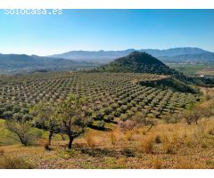 Finca rustica en Venta en Almogía, Málaga
