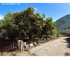 Finca rustica en Venta en Candelaria, Santa Cruz de Tenerife