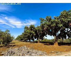 Finca rustica en Venta en Candelaria, Santa Cruz de Tenerife