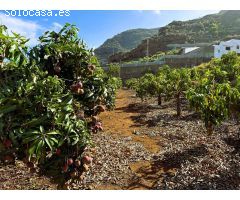Finca rustica en Venta en Candelaria, Santa Cruz de Tenerife