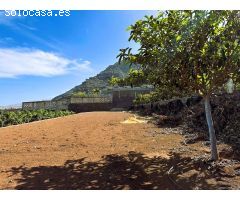 Finca rustica en Venta en Candelaria, Santa Cruz de Tenerife