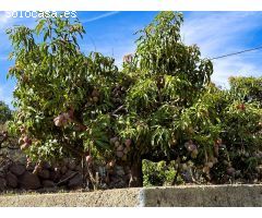 Finca rustica en Venta en Candelaria, Santa Cruz de Tenerife