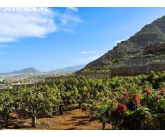 Finca rustica en Venta en Candelaria, Santa Cruz de Tenerife