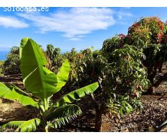 Finca rustica en Venta en Candelaria, Santa Cruz de Tenerife
