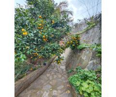 Finca rustica en Venta en Orotava, La, Santa Cruz de Tenerife