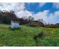 Finca rustica en Venta en Orotava, La, Santa Cruz de Tenerife
