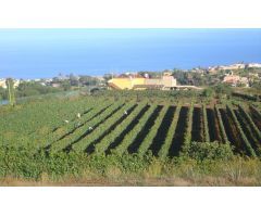 Finca rustica en Venta en Tacoronte, Santa Cruz de Tenerife
