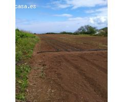 Finca rustica en Venta en Tacoronte, Santa Cruz de Tenerife