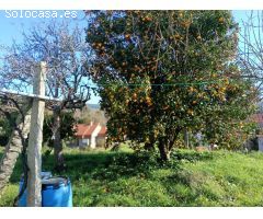 Chalet en Venta en O Rosal, Pontevedra