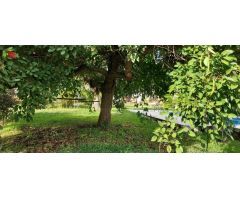 Chalet en Venta en Tomiño, Pontevedra
