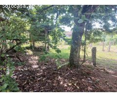 Chalet en Venta en Salvatierra de Miño, Pontevedra