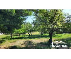 Chalet en Venta en O Rosal, Pontevedra