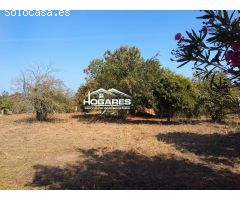 Chalet en Venta en Tuyo, Pontevedra