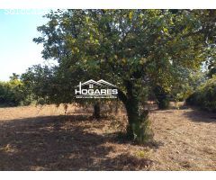 Chalet en Venta en Tuyo, Pontevedra