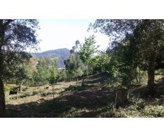 Solar urbano en Venta en O Rosal, Pontevedra