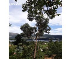 Solar urbano en Venta en O Rosal, Pontevedra