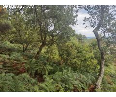 Solar urbano en Venta en O Rosal, Pontevedra