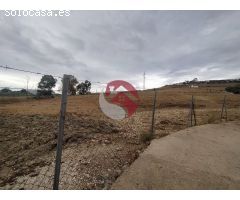 Finca rustica en Venta en Pizarra, Málaga