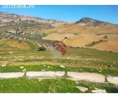 Finca rustica en Venta en Alora, Málaga