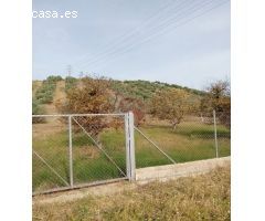 Finca rustica en Venta en Alhaurín de la Torre, Málaga