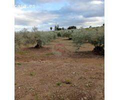Finca rustica en Venta en Coín, Málaga