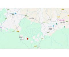 Finca rustica en Venta en Coín, Málaga