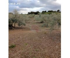Finca rustica en Venta en Coín, Málaga