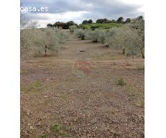 Finca rustica en Venta en Coín, Málaga